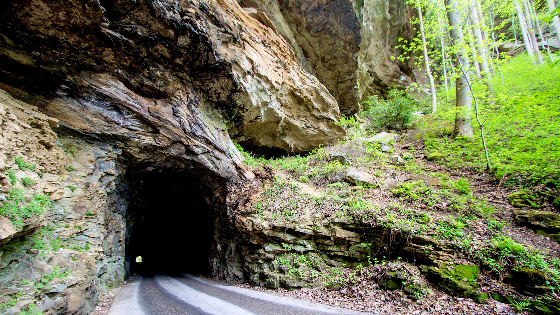 CONDENSED-nada-tunnel-shutterstock