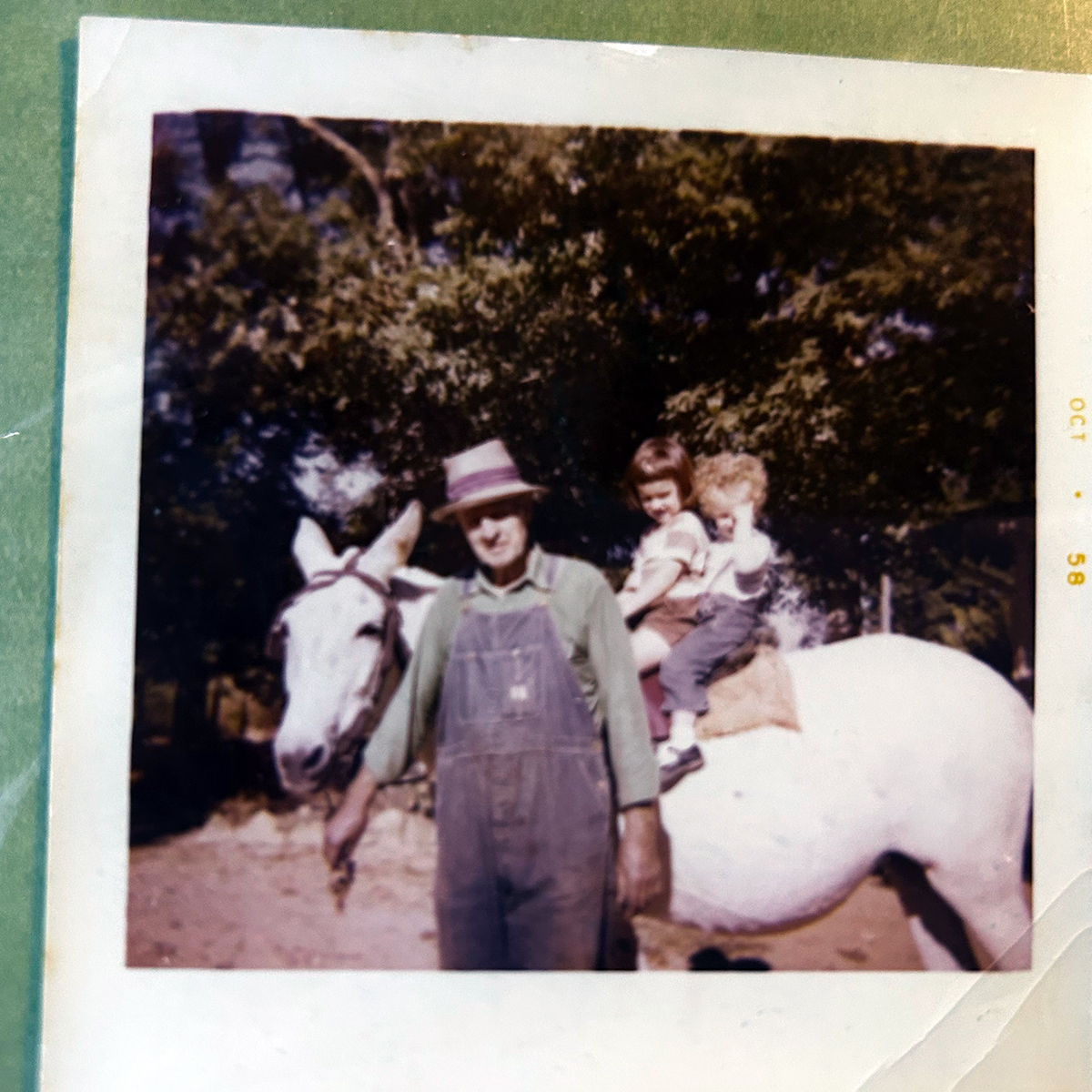 A nostalgic scene of children riding a mule with an older man nearby, reflecting solastalgia, environmental grief, and childhood memories of rural Georgia.