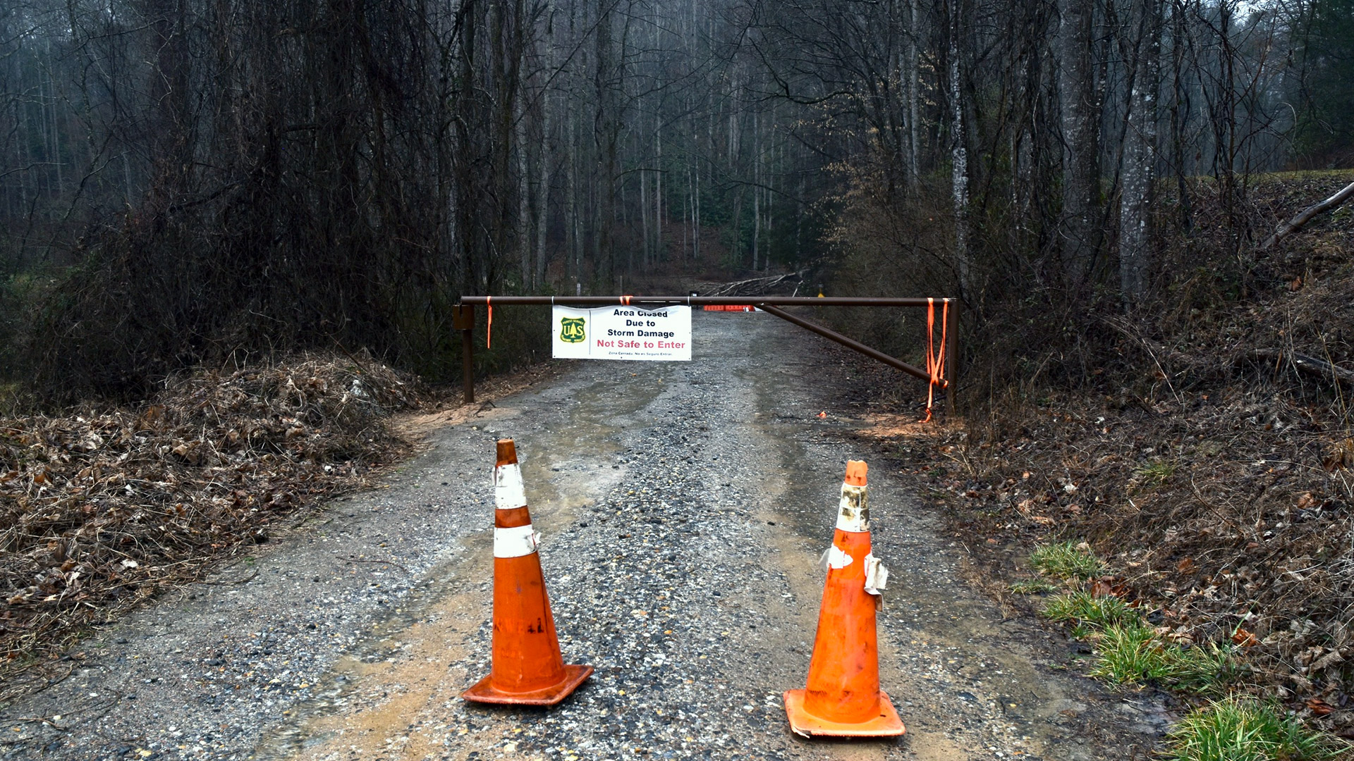 CONDENSED-meadows-creek-road